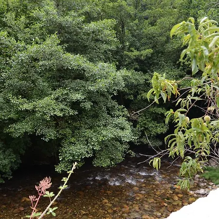 El Rincon De Limes