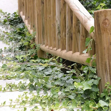 El Rincon De Limes *