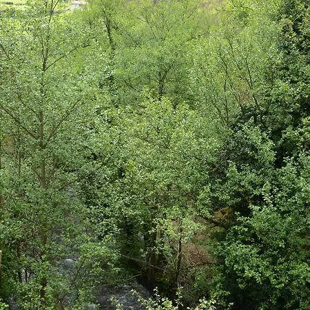 Apartamento El Rincon De Limes *