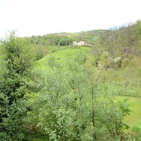 Apartment El Rincon De Limes Cangas De Narcea